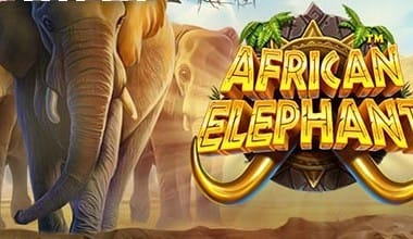 African Elephant